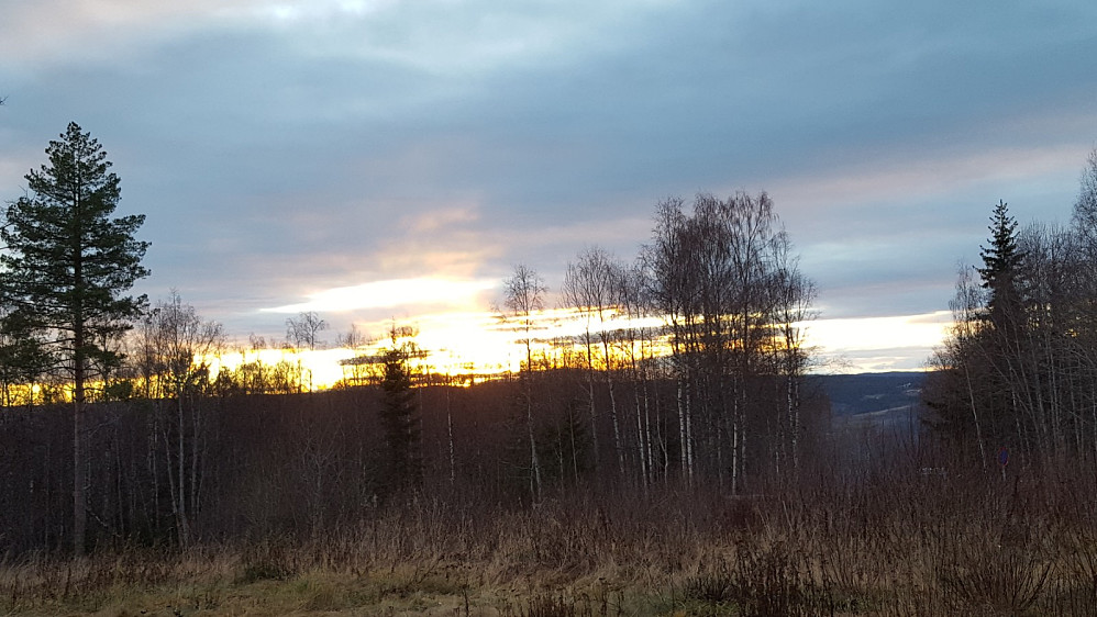 Solnedgang