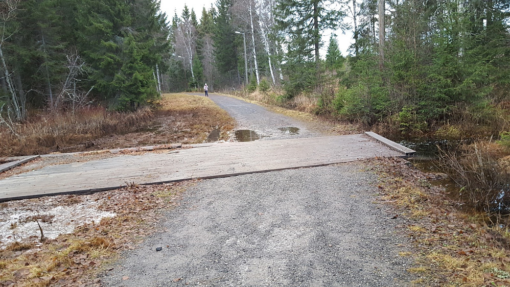 Tørt i vegen, fortsatt mye vann i terrenget rundt