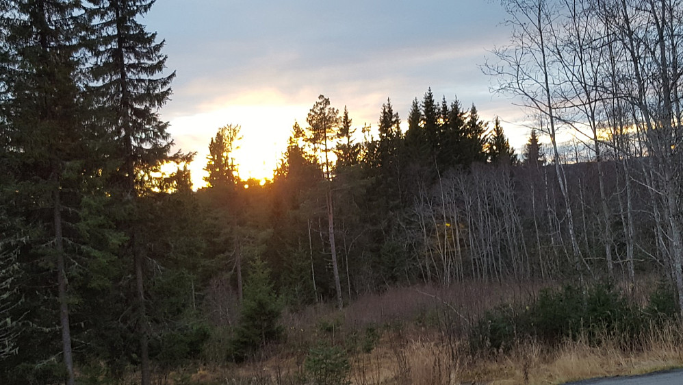 Solnedgang