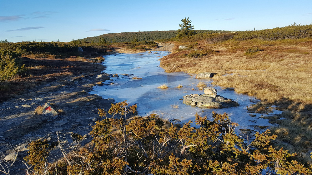 Is på vatnet i råket i dag