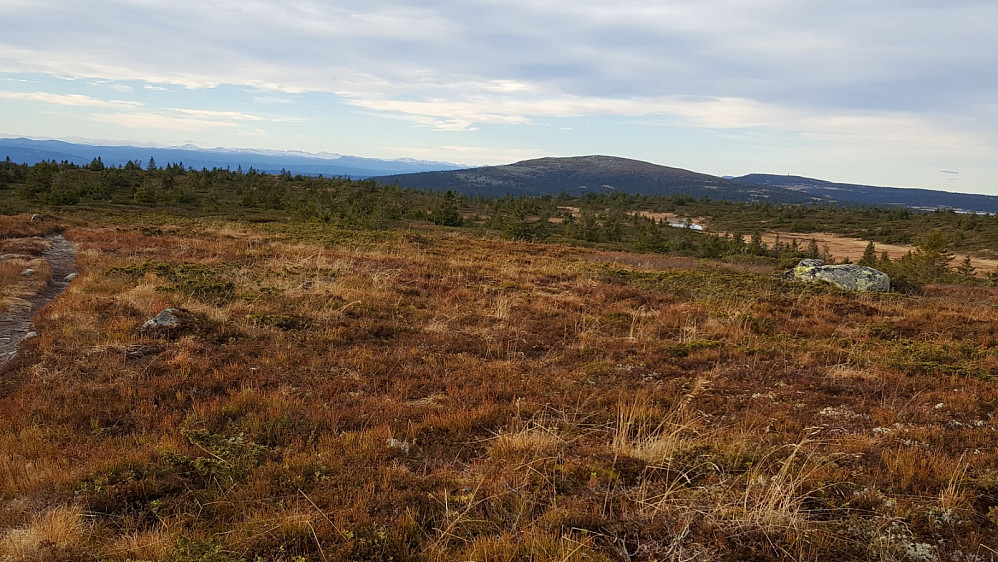 På Lunkefjell vest