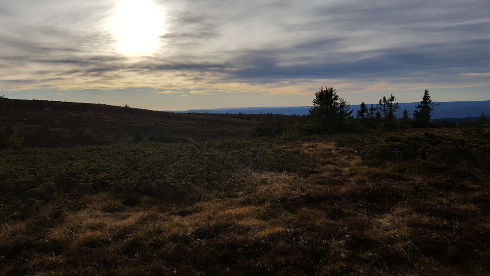 På Lunkefjell vest