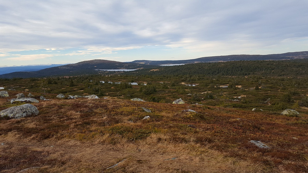 På Høgfjellet
