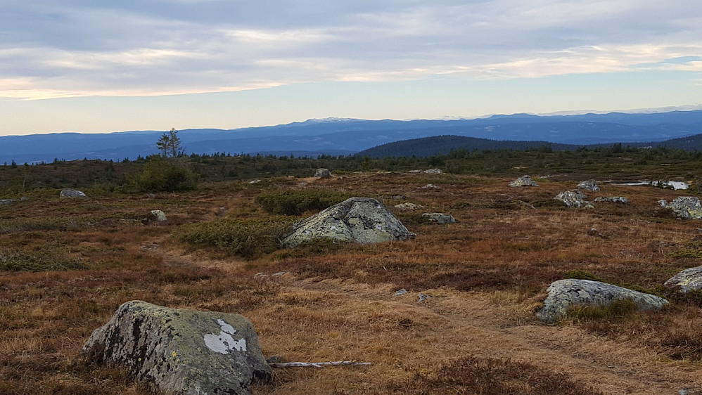 På Høgfjellet