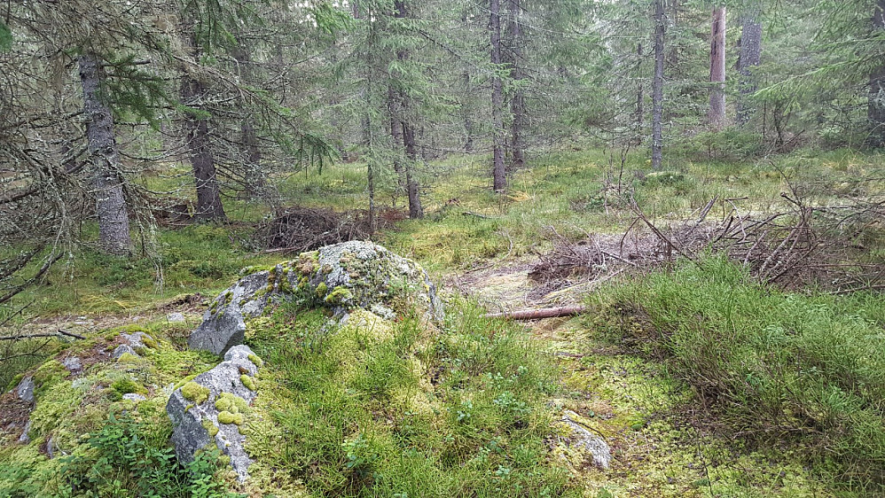 På Kanthaugen