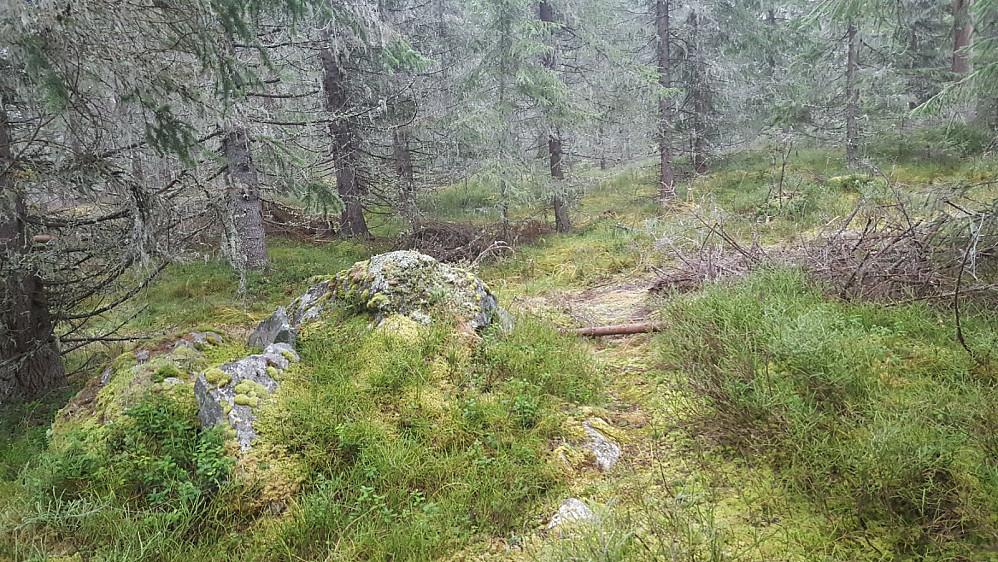 På Kanthaugen