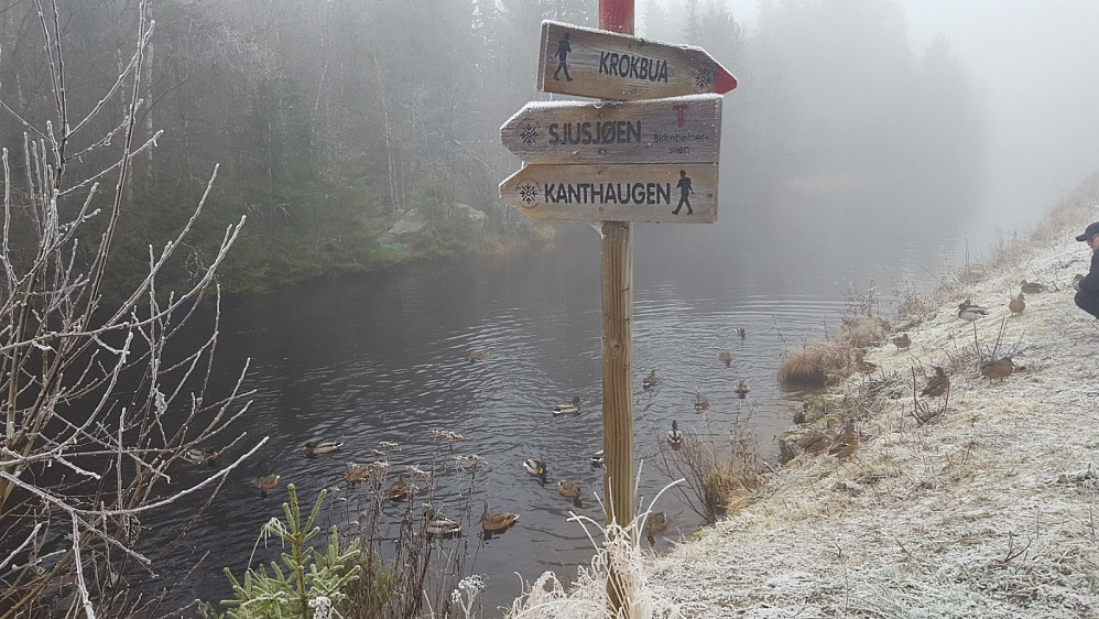 Ved Kanalen