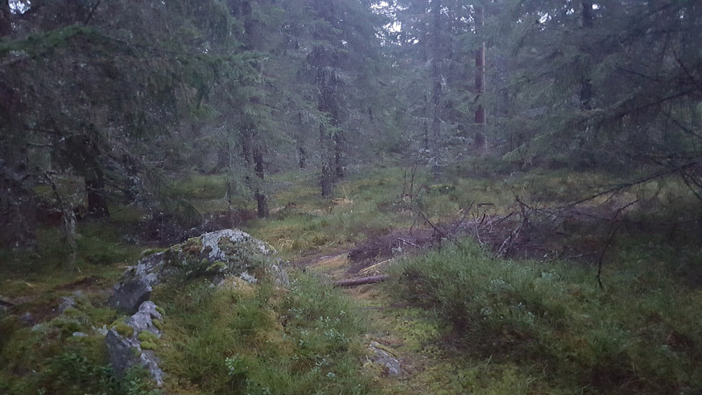 På Kanthaugen
