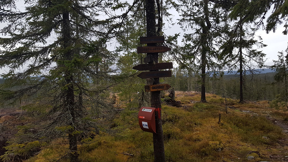 Ved stidele på Gropråket