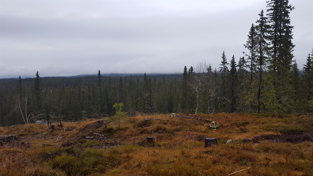 Skodde over Slåseterfjellet og Nevelfjell