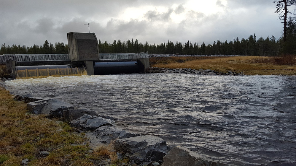 Mesnaelva ved demningen