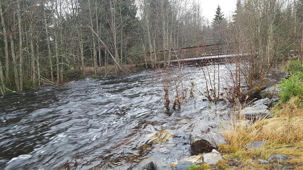 Mesnaelva nedenfor demningen