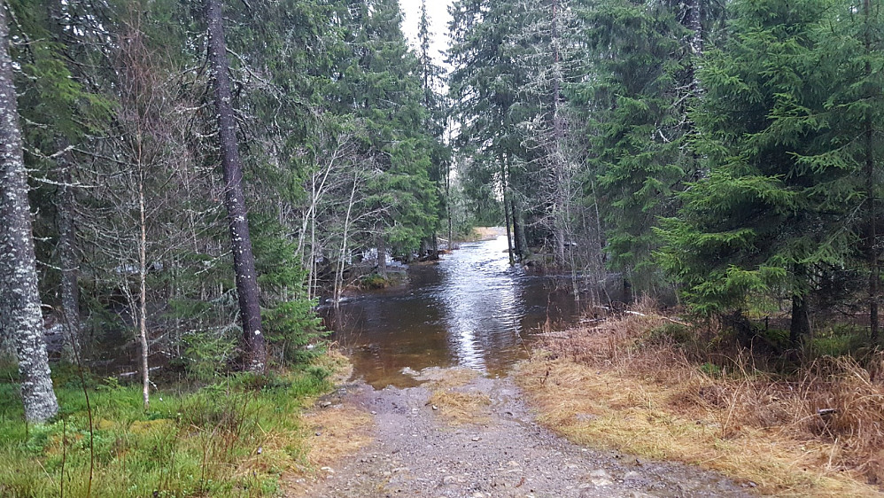 Nedfartsløypa