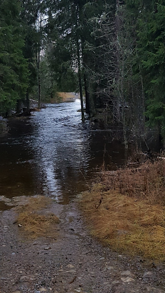 Mesnaelva over sine bredder