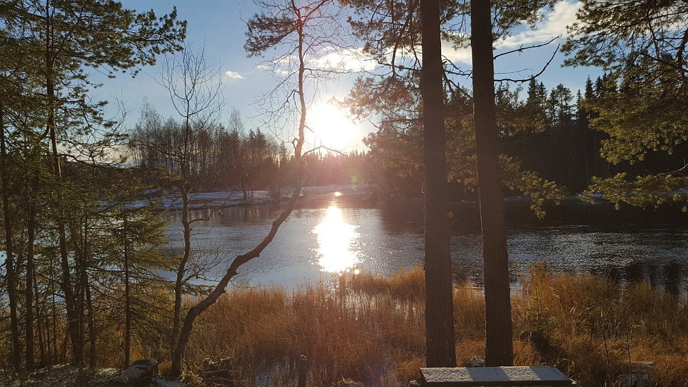 Ved Krokbua