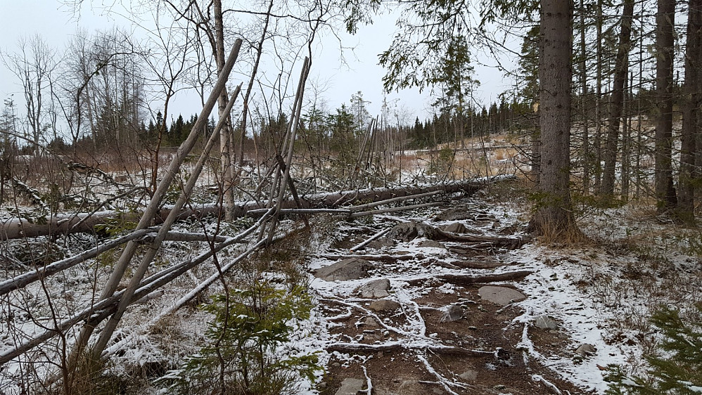 Tre over råket igjen