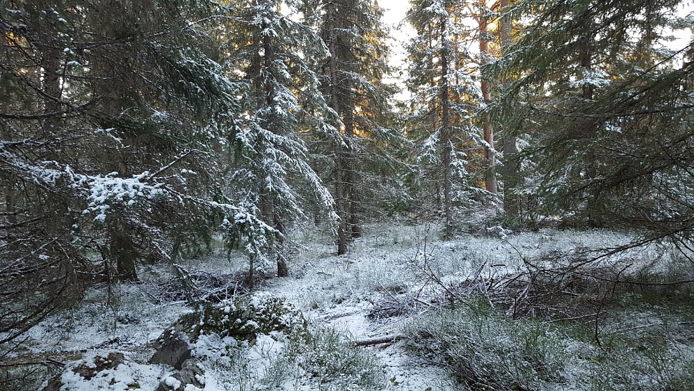 På Kanthaugen|