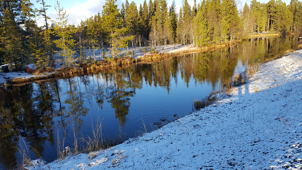 Skulle ta bilde av Fossekallen, men han dukka under