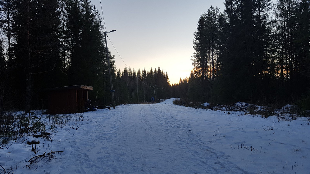 Ved Hammerkoia