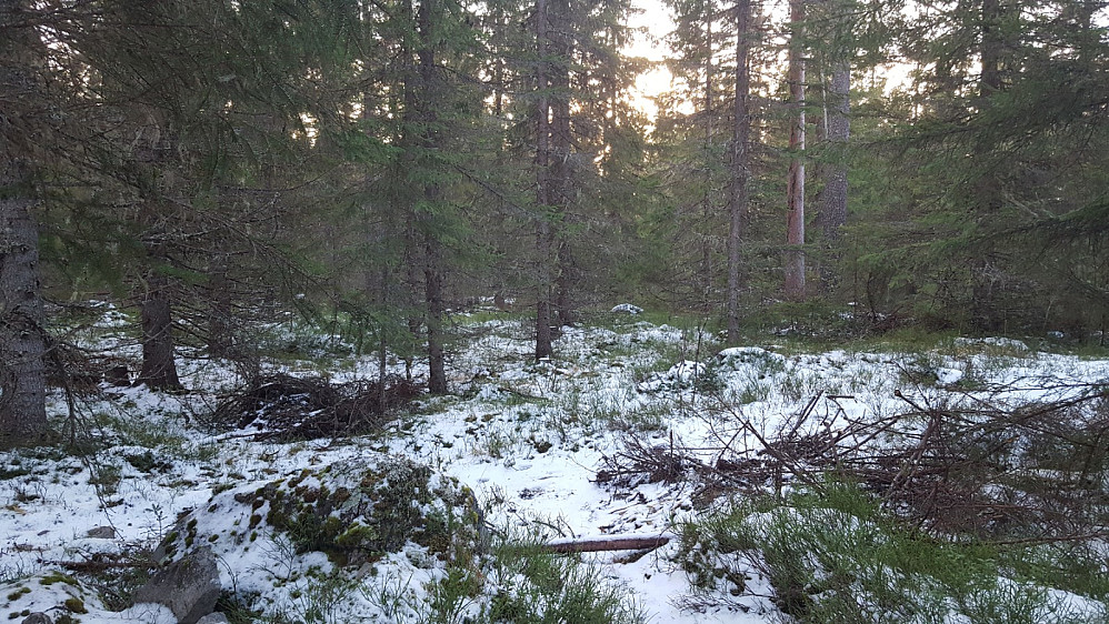 På Kanthaugen