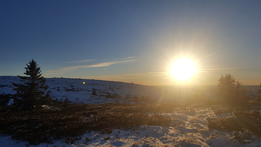 På Lunkefjell vest