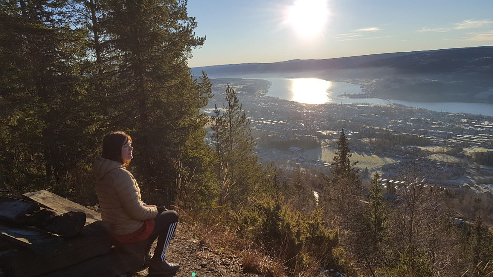På Hansvehaugen