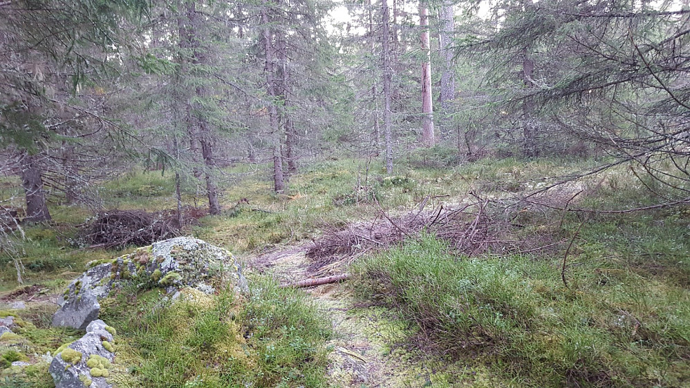 På Kanthaugen