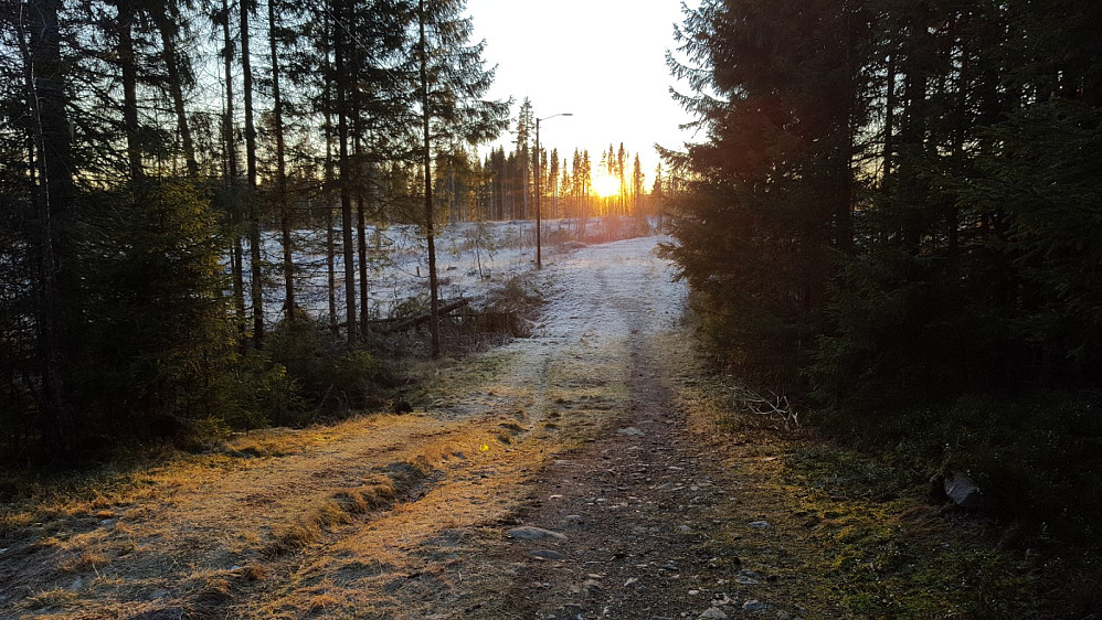 I lysløypa