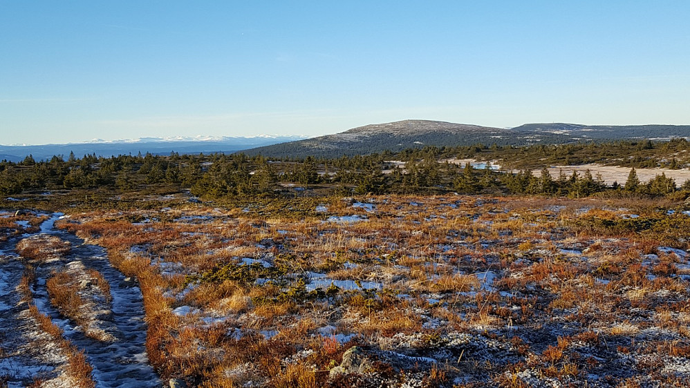 På Lunkefjell vest