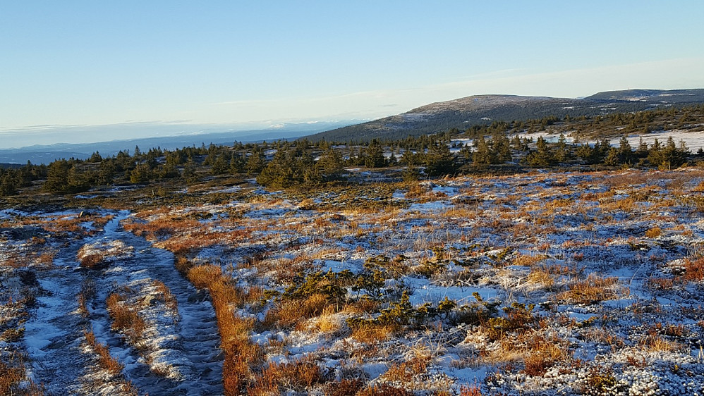 På Lunkefjell vest