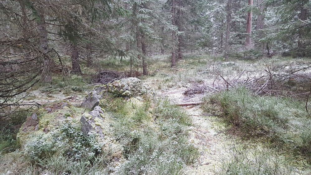 På Kanthaugen