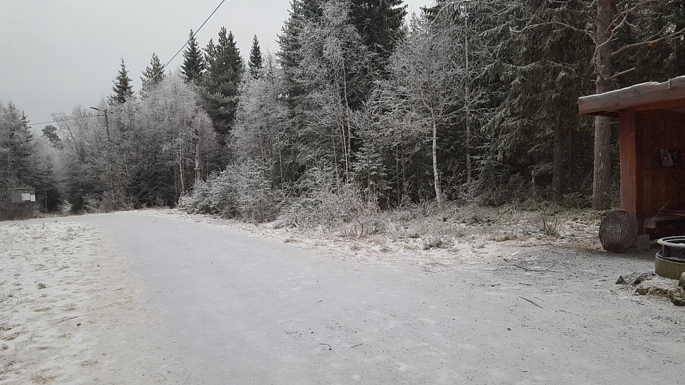 Ved Hammerkoia