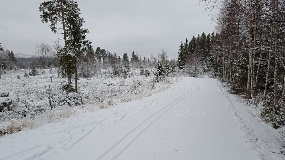 Ned fra Kanthaugen