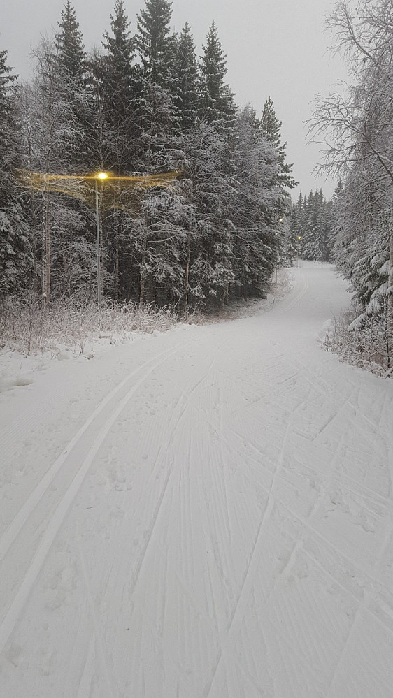 I skiløypa
