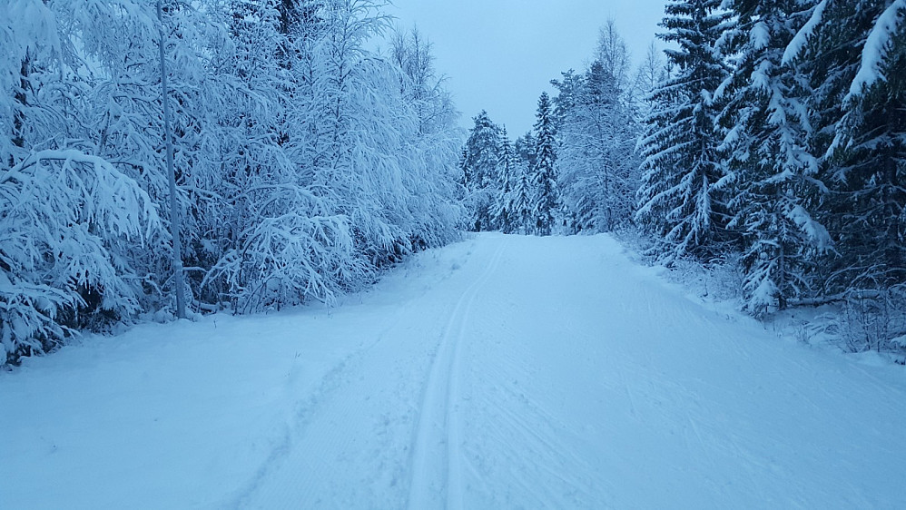 I skiløypa