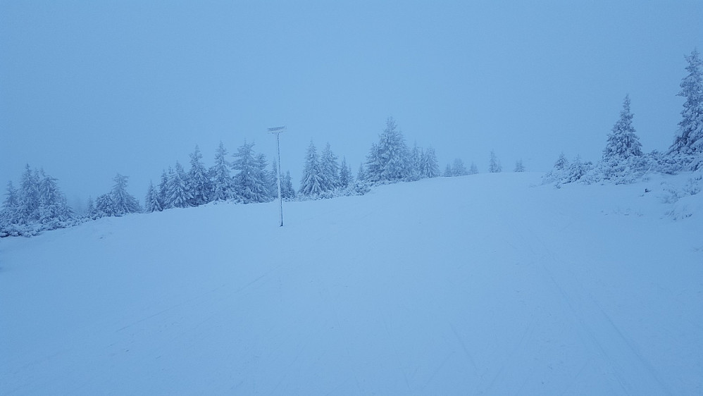 Grått på vei innover, her på Nevelåsen