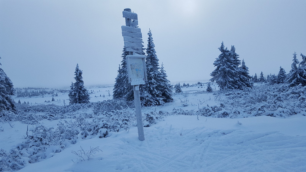 Ved løypekrysset i Kriksvika