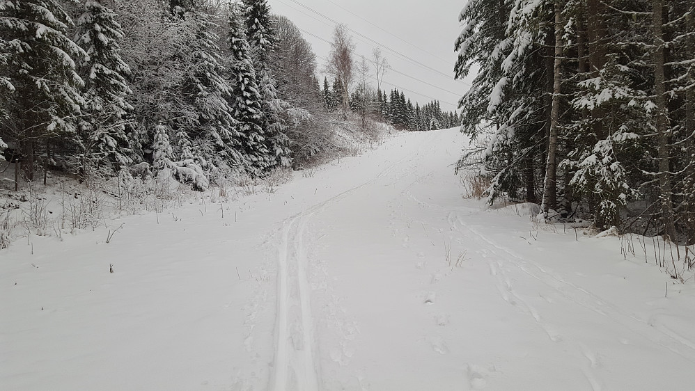 I Birkebeinerløypa
