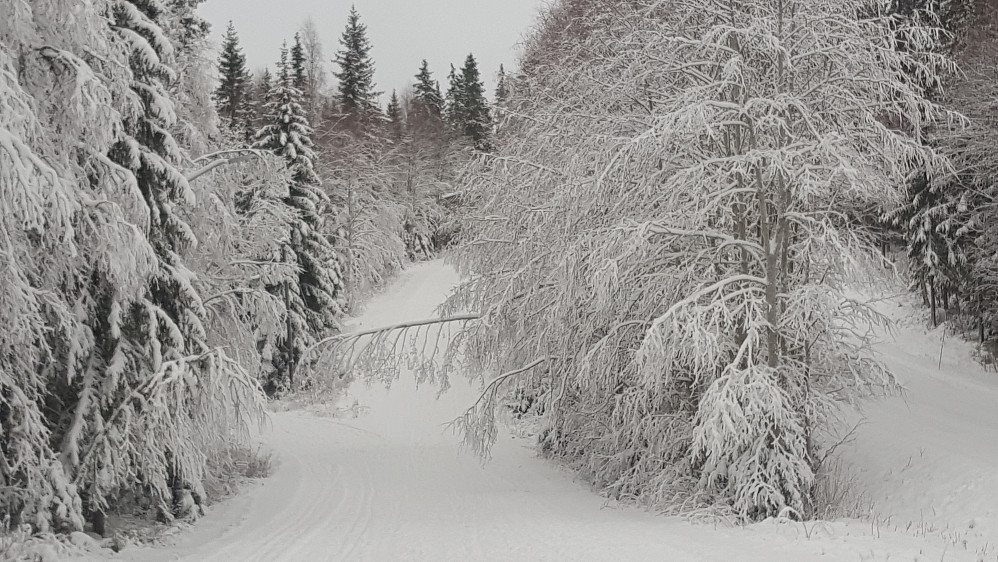 Tung snø
