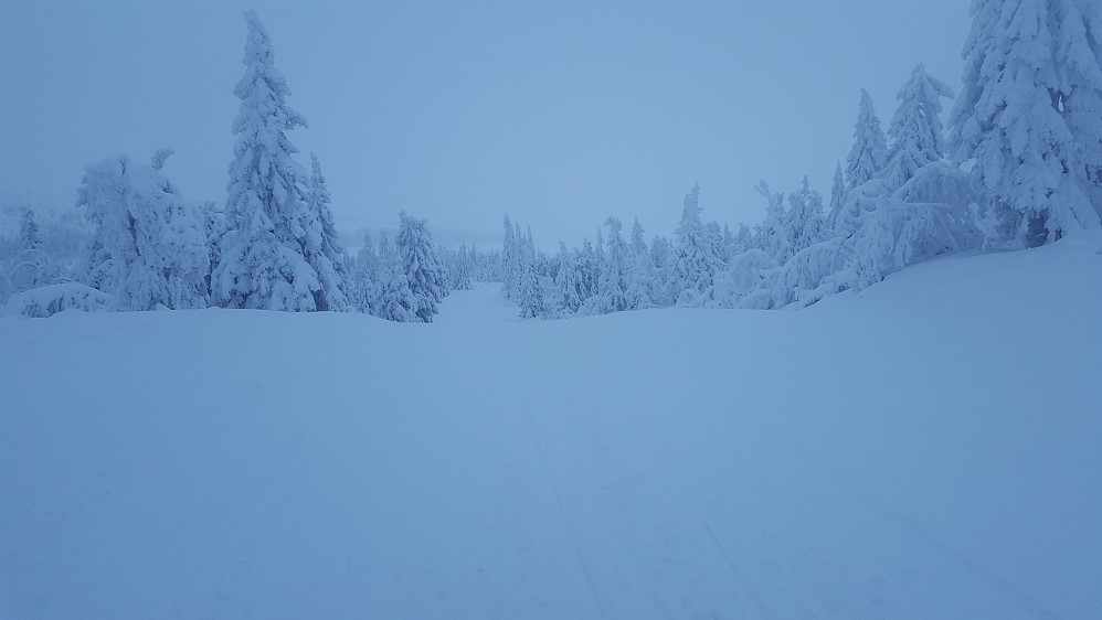 Klar for å kjøre ned fra Midtfjellet