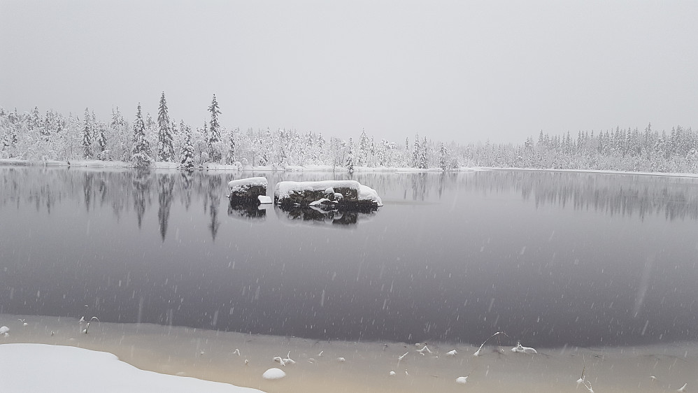 Mesnaelva, Bottilflø