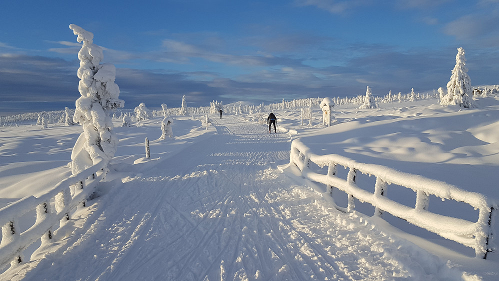 Ved utløpet av Melsjøen