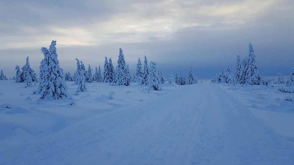 Så er det bare igjen å renne ned til Nordseter