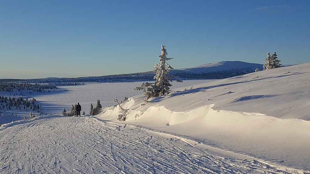 På Reinakrysset