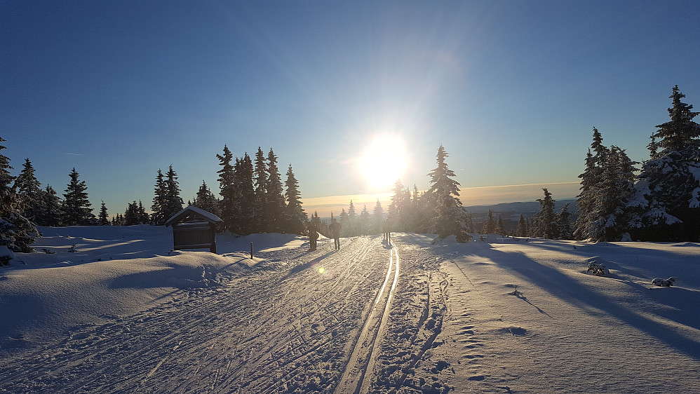 Klar for å renne ned igjen til Nordseter