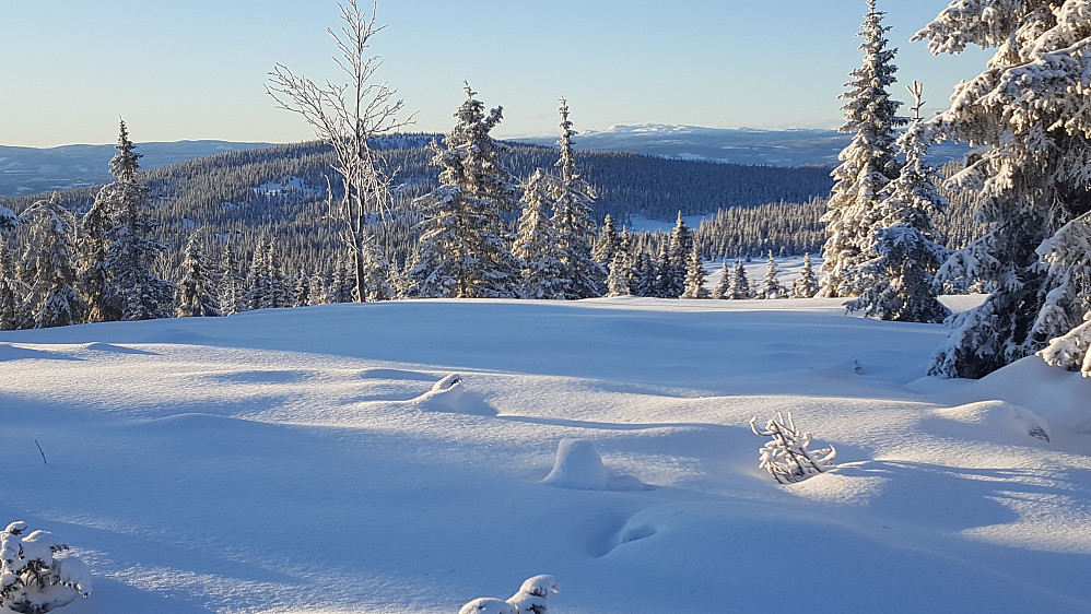 Synnfjellet fra Reinavegen
