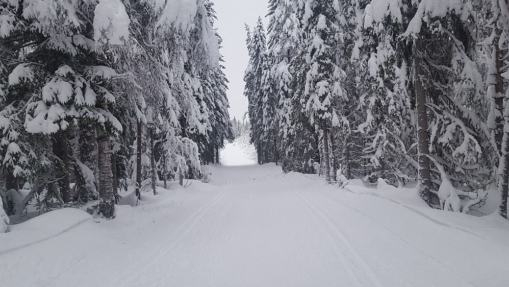 I Birkebeinerløypa