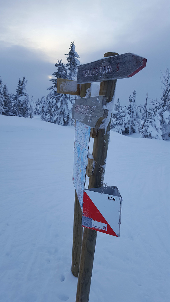 På løypekrysset Nordseterfjellet. Skijeger’n har begynt
