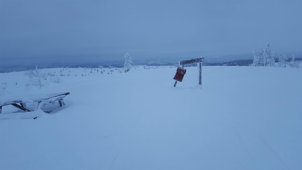 På Sjusjøfjellet 