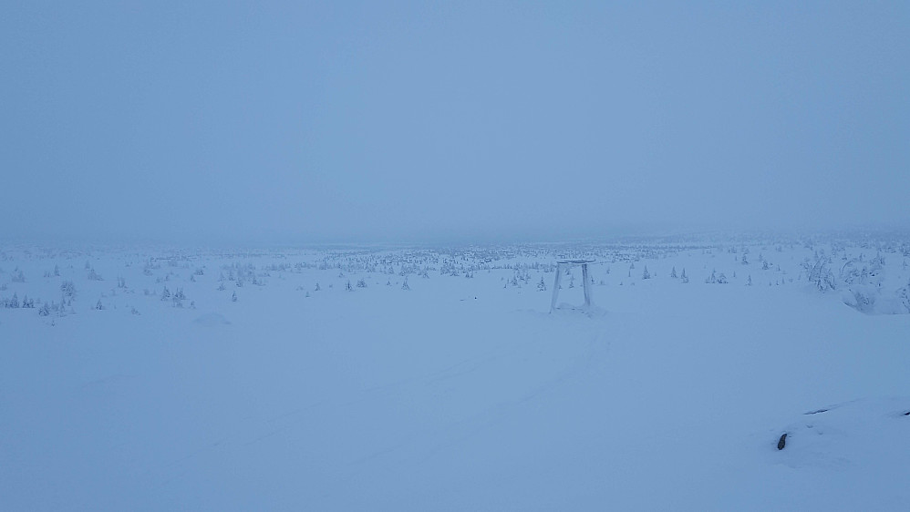 På Sjusjøfjellet øst